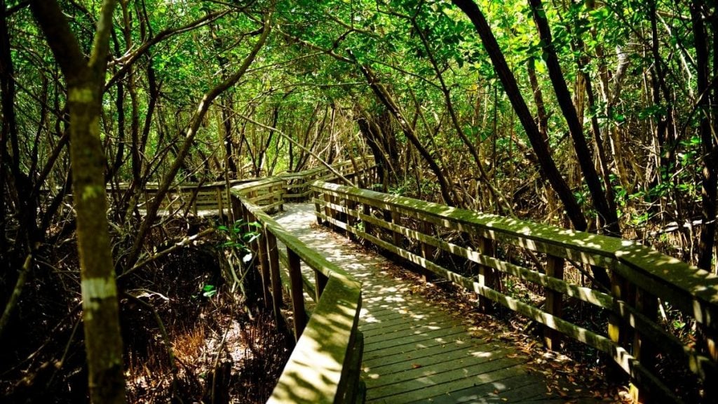 Everglades National Park, South Florida