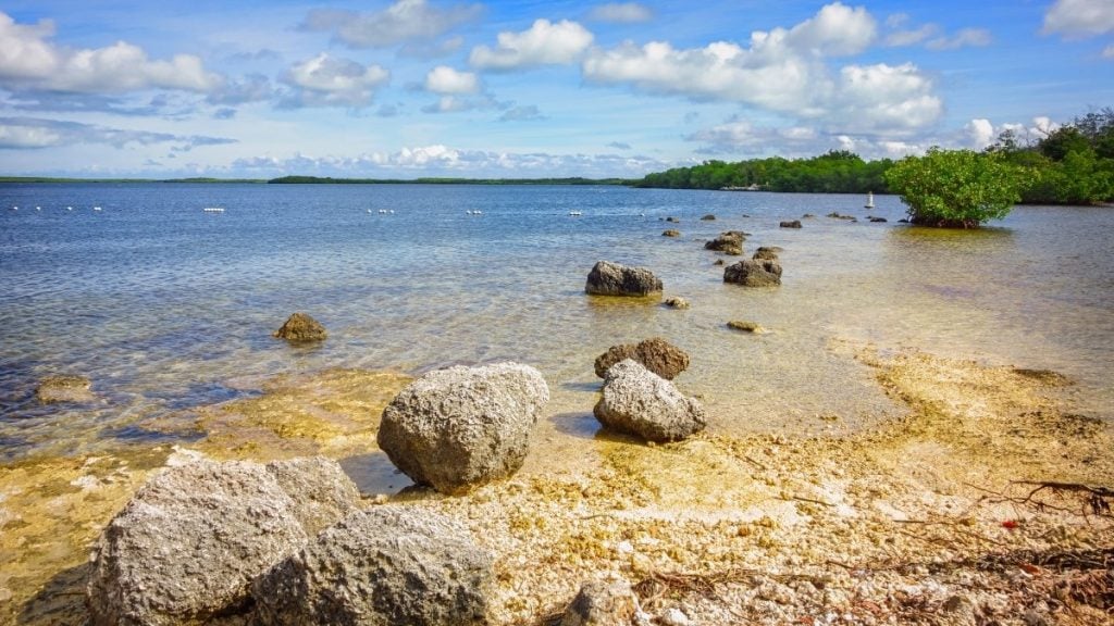 John Pennekamp Coral Reef State Park, Key Largo, Florida