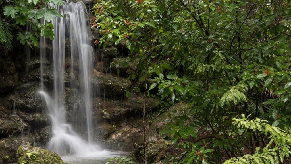 Rainbow Springs State Park waterfall, Dunnellon, Florida