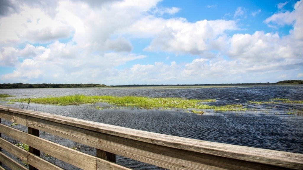 Myakka River State Park, Sarasota, Florida