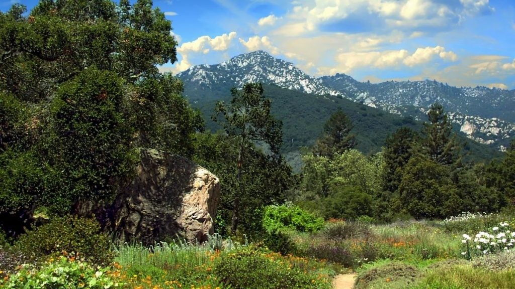 Los Angeles to San Francisco drive. In photo: Santa Barbara Botanic Garden, Santa Barbara, California