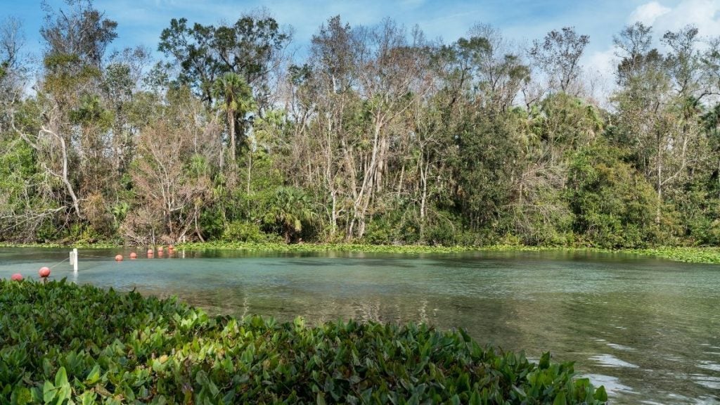Silver Springs State Park, Ocala, Florida