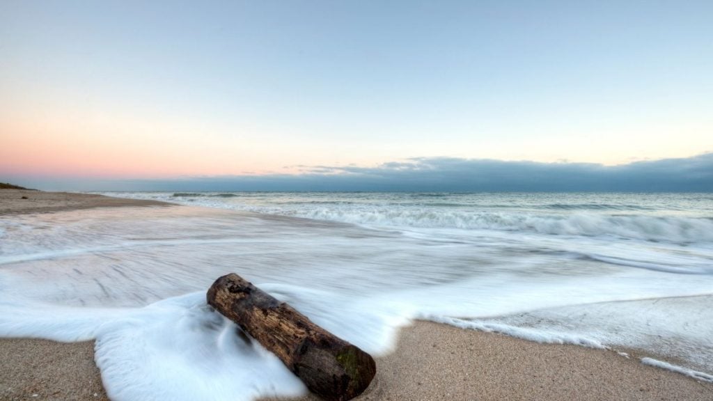 Canaveral National Seashore, Florida