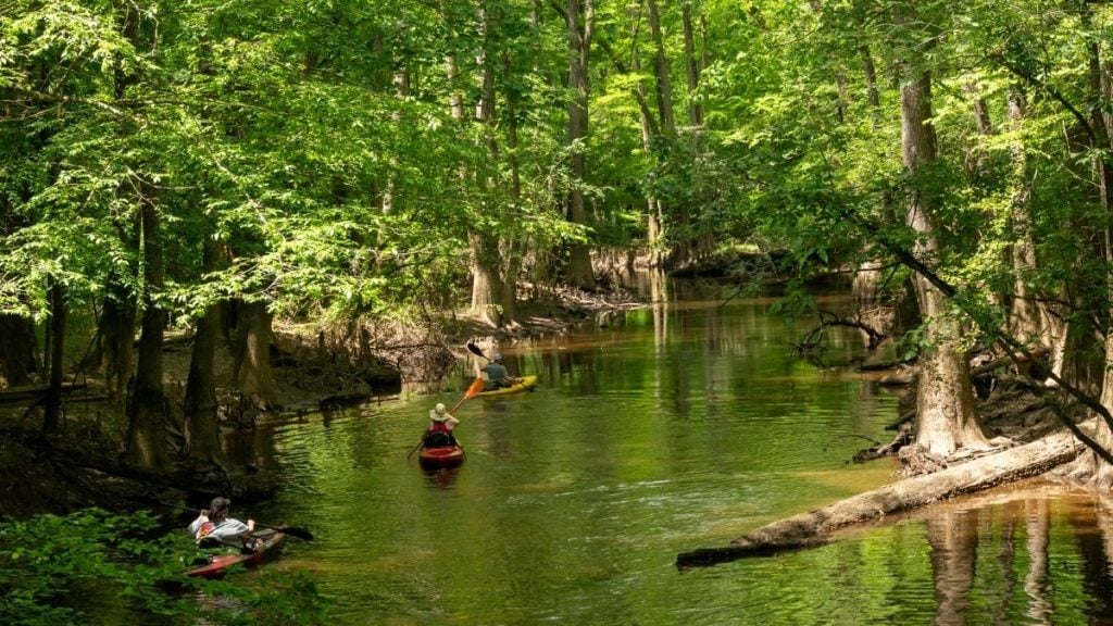 Cedar Creek Canoe Trail, Congaree National Park, South Carolina