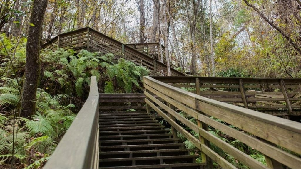 Devil’s Millhopper Geological State Park, Gainesville, Florida