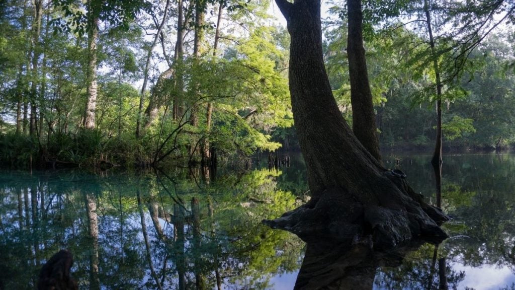 Atlanta to Tampa drive. In photo: Ginnie Springs, High Springs, Florida