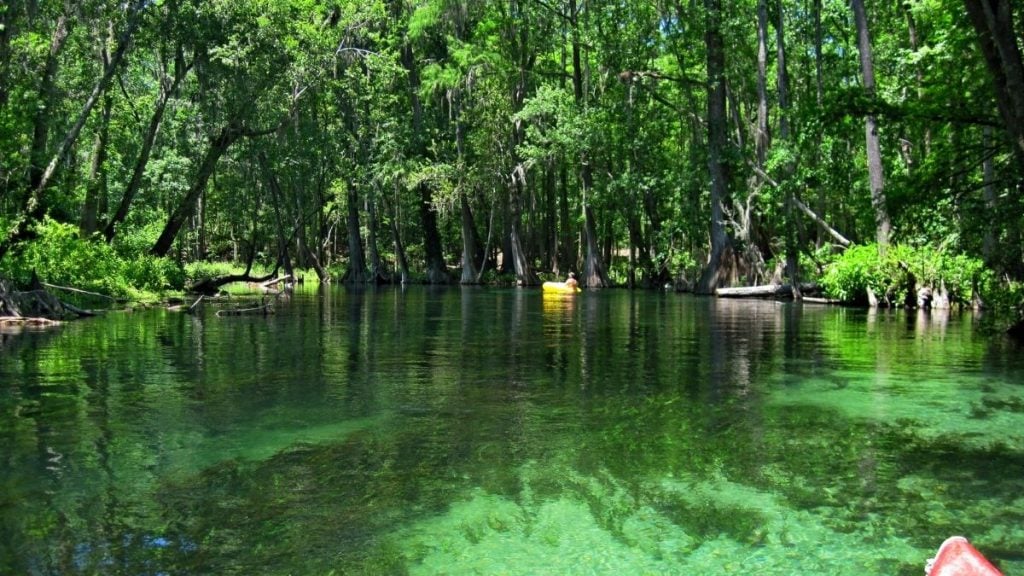Atlanta to Jacksonville drive. In photo: Ichetucknee Springs State Park, Fort White, Florida