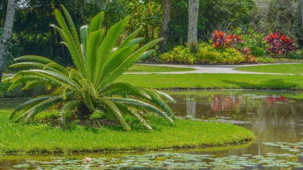 McKee Botanical Garden, Vero Beach, Florida