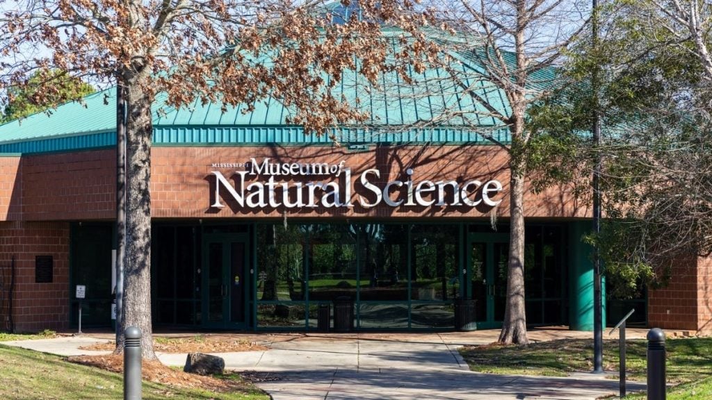 Dallas to Atlanta Drive. In photo: Mississippi Museum of Natural Science, Jackson, Mississippi