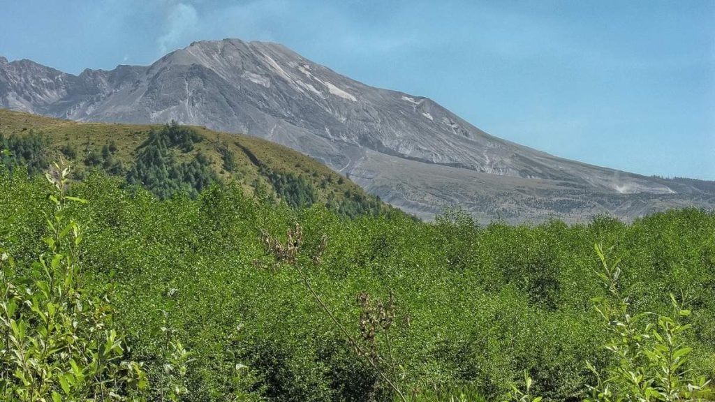 Portland to Seattle Drive. In photo: Mount St. Helens National Volcanic Monument, Skamania County, Washington