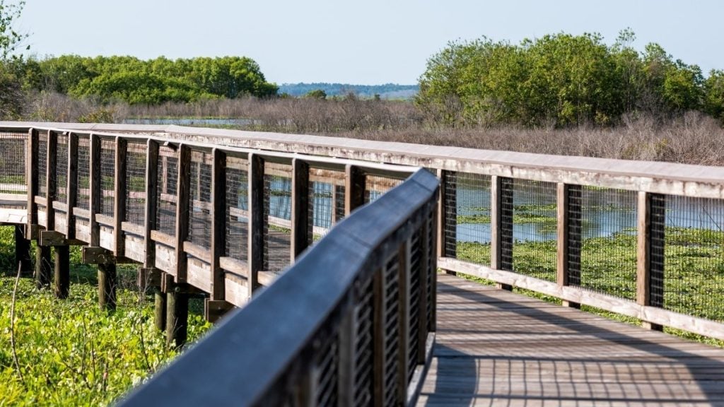 Paynes Prairie Preserve State Park, Gainesville, Florida