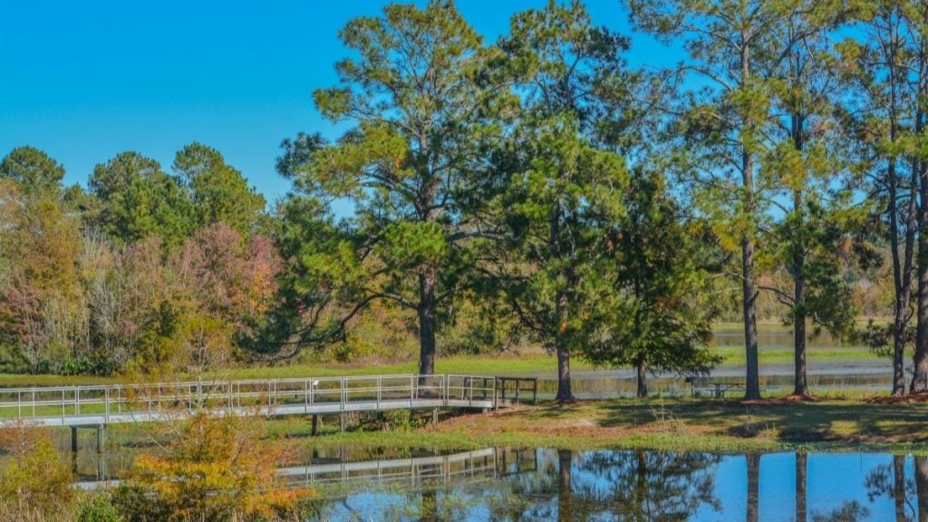 Reed Bingham State Park, Adel, Georgia