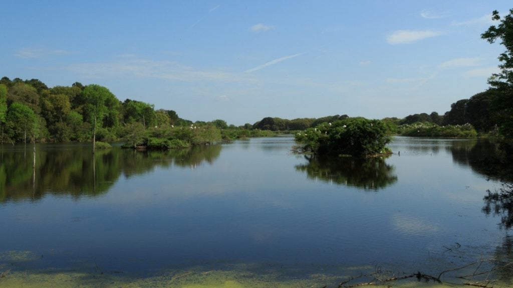 Savannah National Wildlife Refuge, Savannah, Georgia