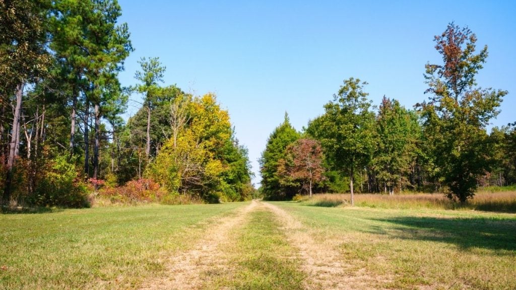 Cowpens National Battlefield, Cowpens, South Carolina