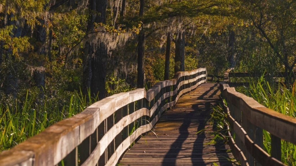 E.O. Wilson Boardwalk in Blakeley State Park, Spanish Fort, AL