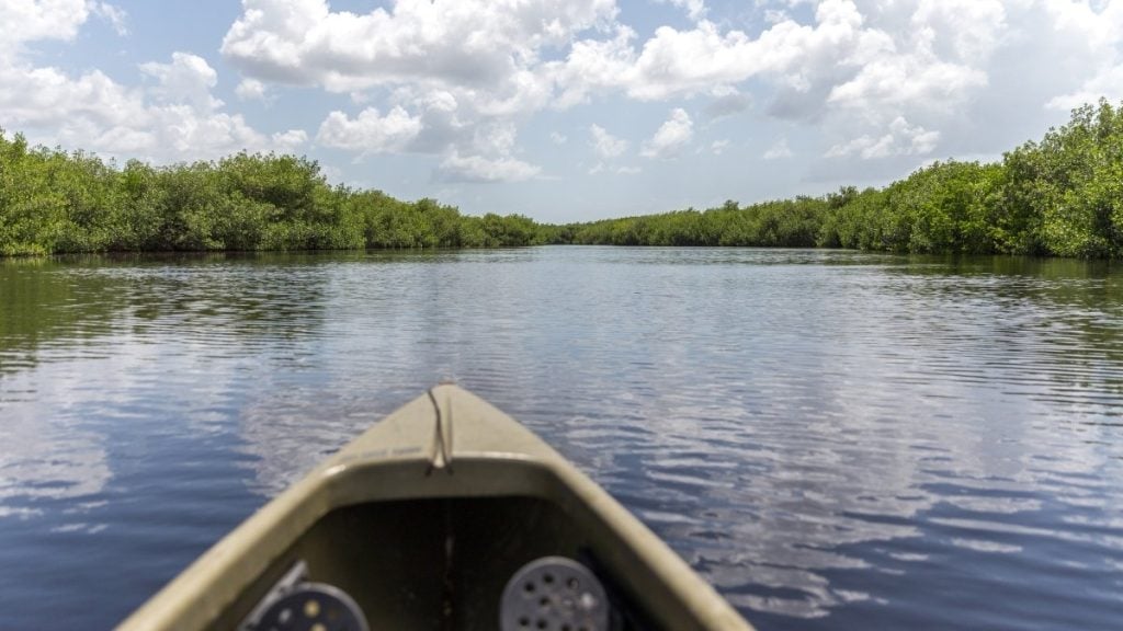 Everglades Guided Kayak Tour, Everglades City, Florida
