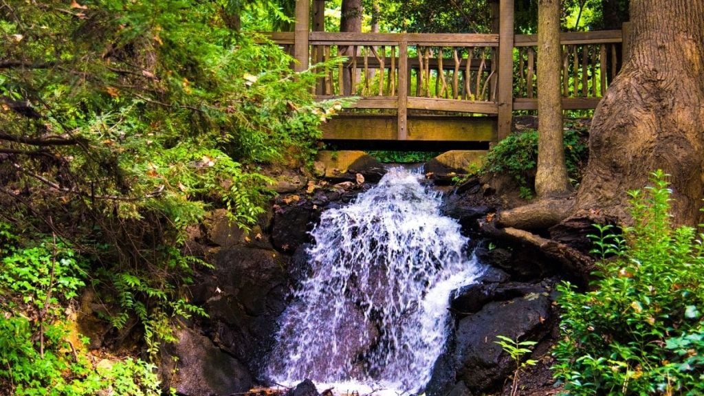 Hatcher Garden and Woodland Preserve, Spartanburg, South Carolina