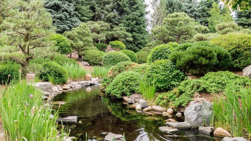 Denver to Yellowstone road trip. In photo: Denver Botanic Gardens, Denver, Colorado