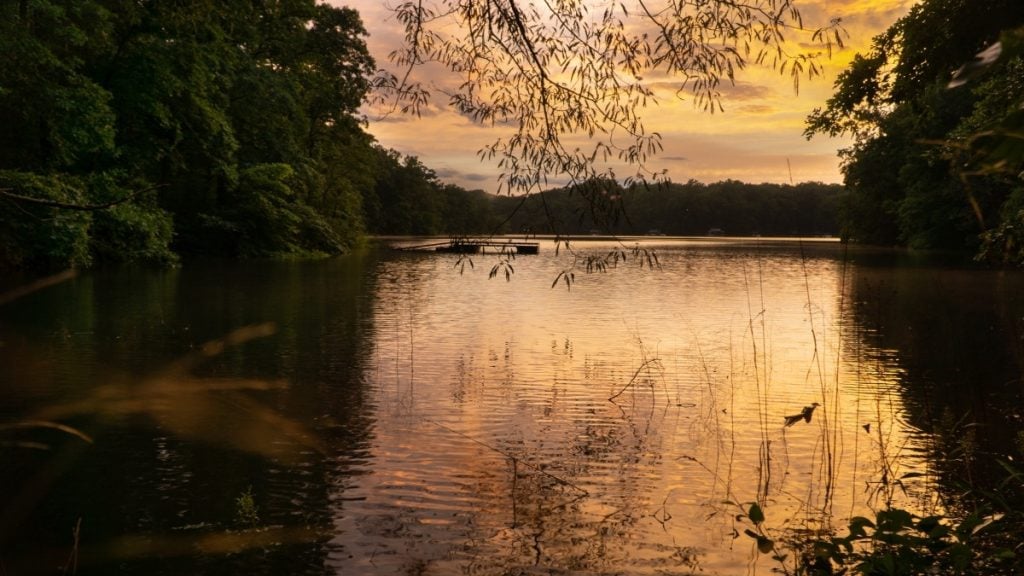 Atlanta to Charlotte drive. In photo:
Lake Hartwell, Clemson, South Carolina