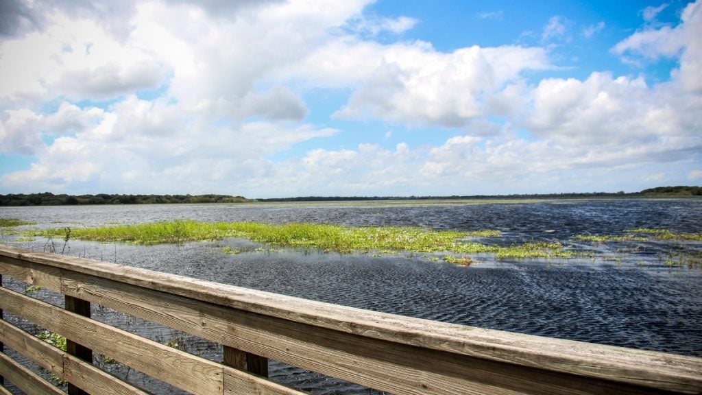 Myakka River State Park, Sarasota, Florida