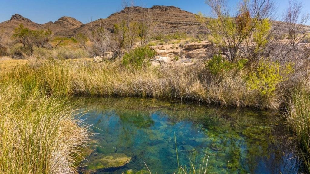 Ash Meadows National Wildlife Refuge, Beatty, Nevada