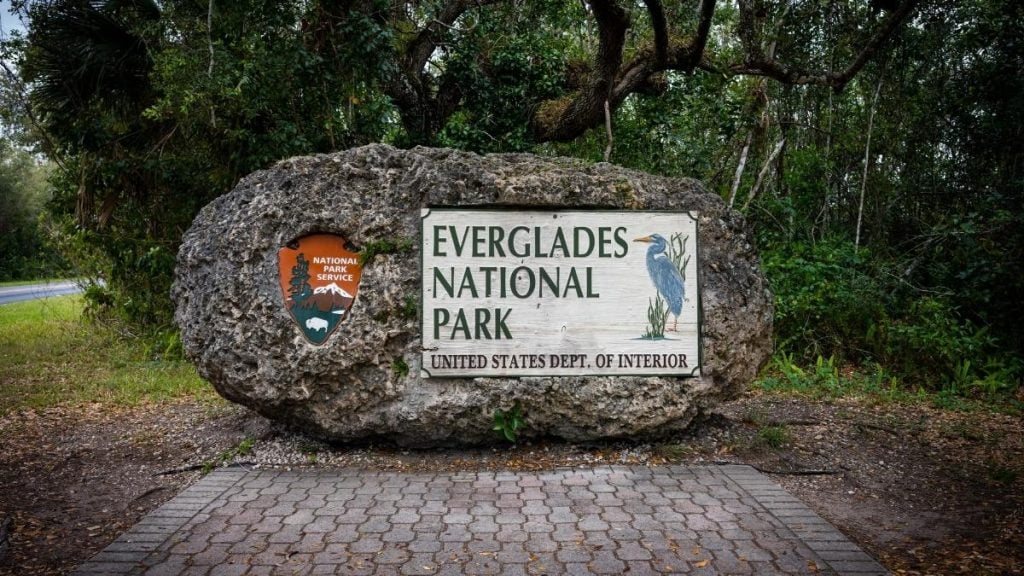 Tampa to Fort Lauderdale road trip. In photo: Everglades National Park, Florida