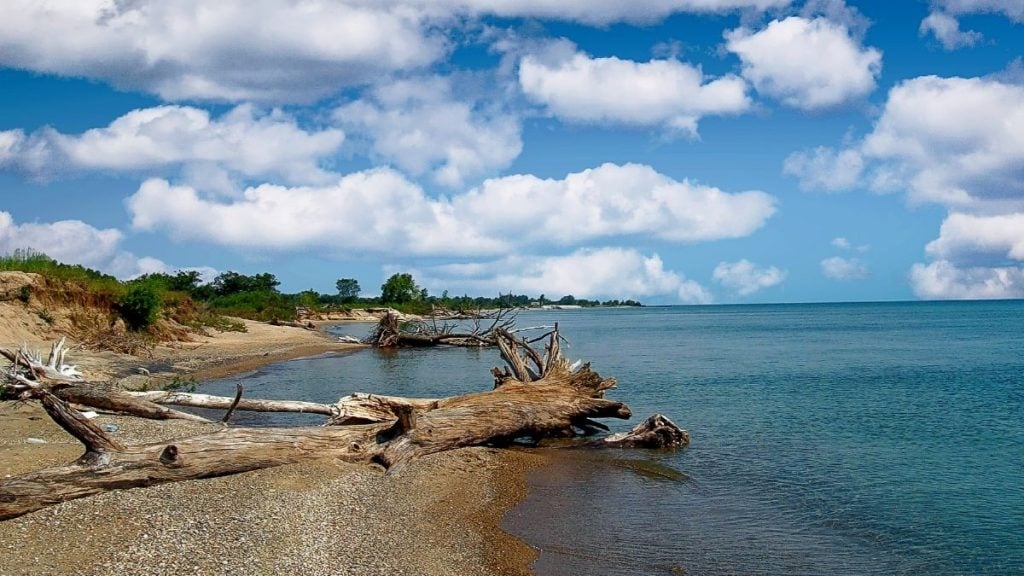 Illinois Beach State Park, Zion, Illinois