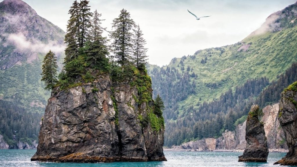 Kenai Fjords National Park, Seward, Alaska
