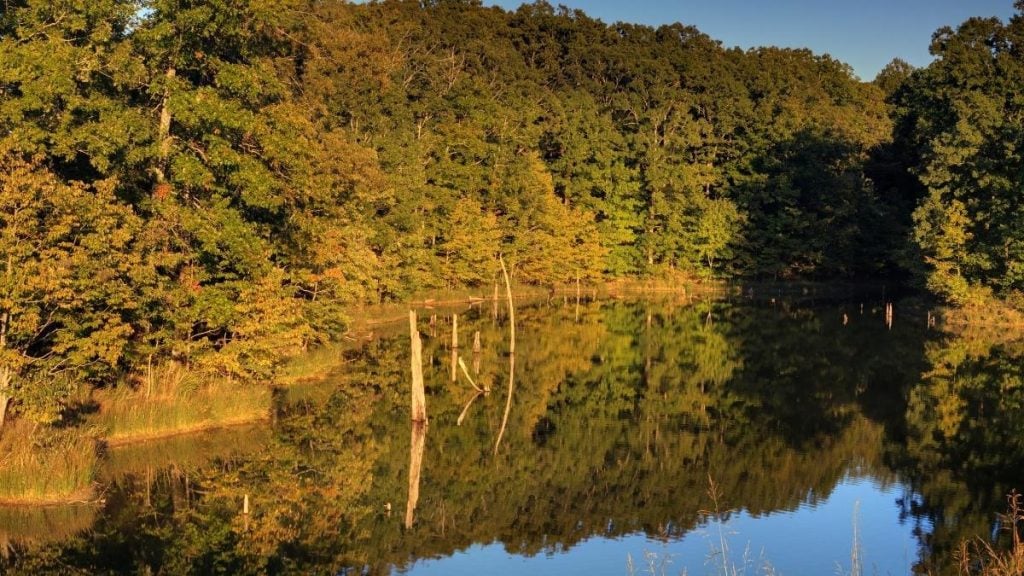 Village Creek State Park Lake, Wynne, Arkansas