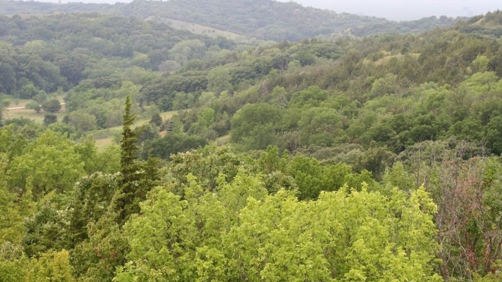 Loess Hills State Forest, Pisgah, Iowa