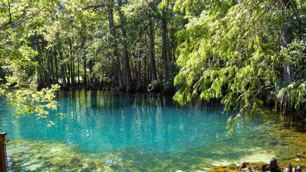 Manatee Springs State Park, Chiefland, Florida