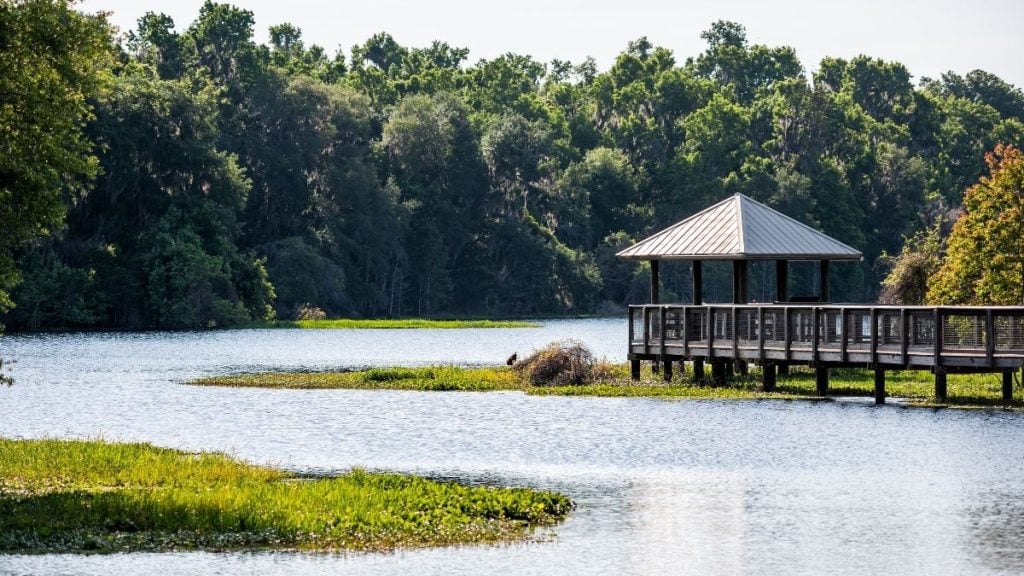 Paynes Prairie Preserve State Park, Gainesville, Florida