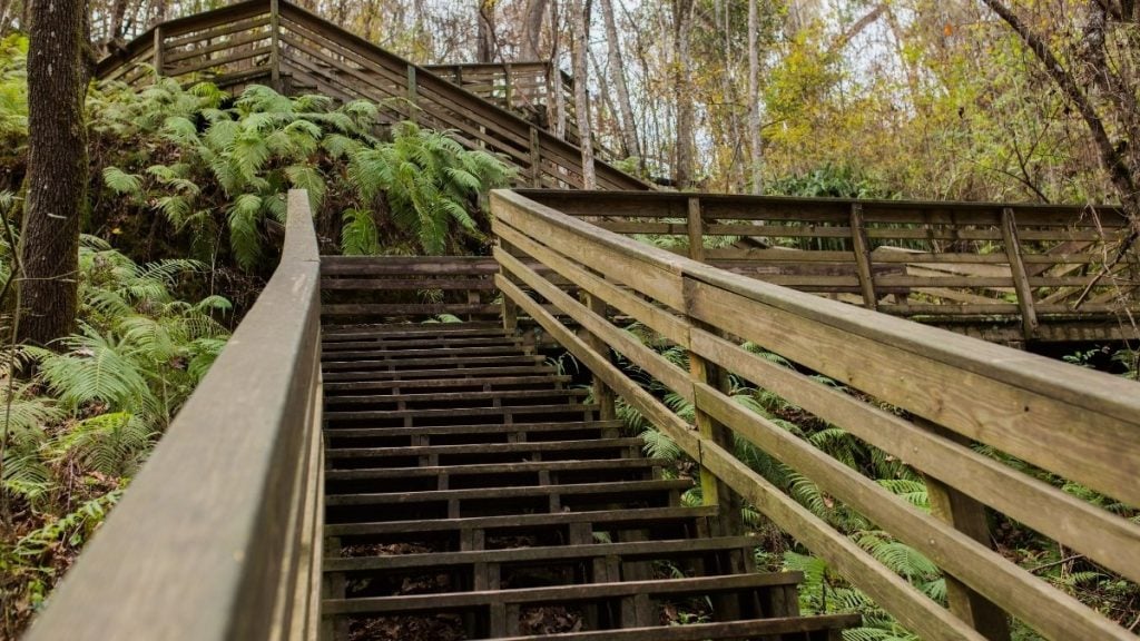 Devil’s Millhopper Geological State Park, Gainesville, Florida
