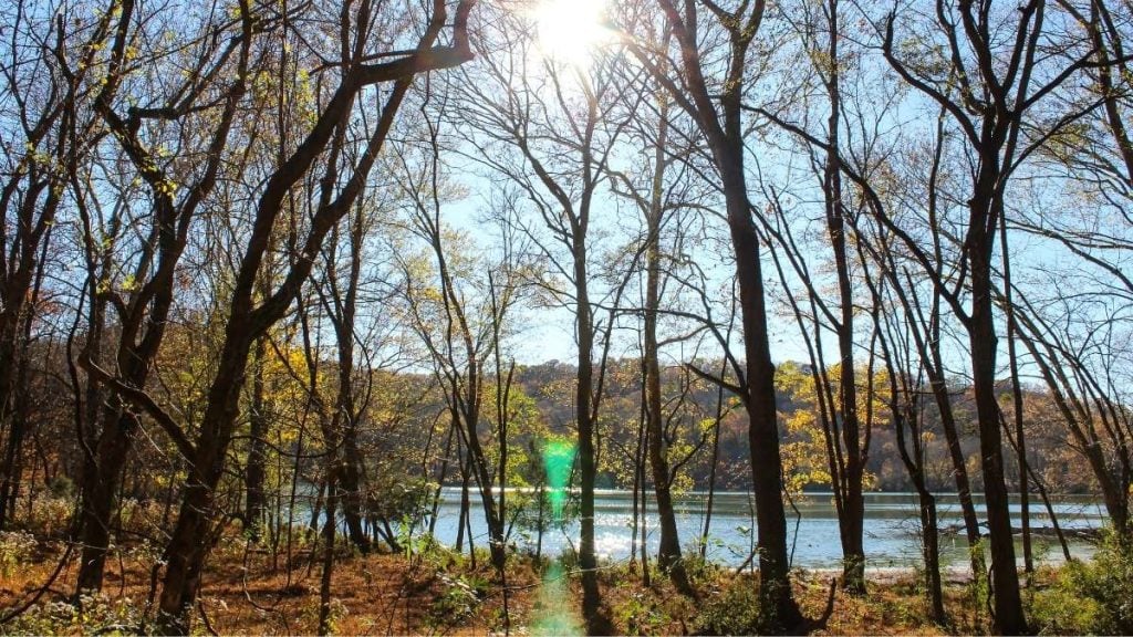 Radnor Lake State Park, Nashville, Tennessee