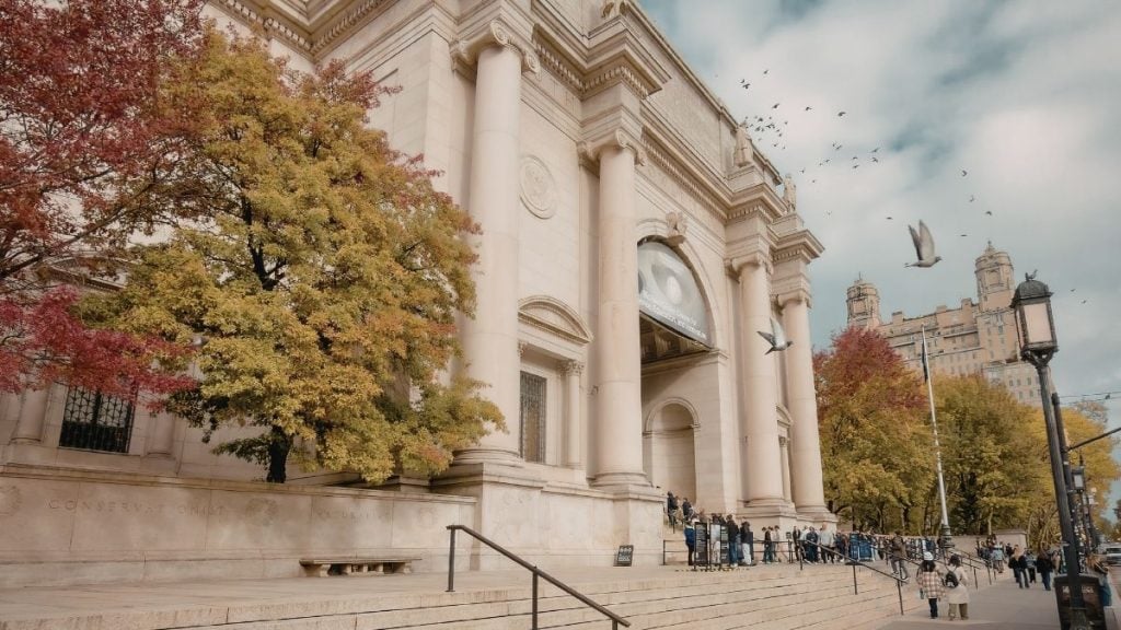 Boston to DC drive. In photo: American Museum of Natural History, New York City, New York