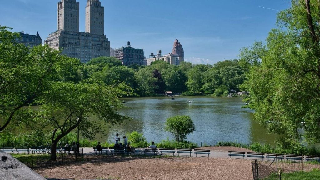 Boston to DC drive. In photo: Central Park, New York City, New York