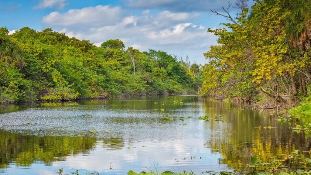 Hugh Taylor Birch State Park, Fort Lauderdale, Florida