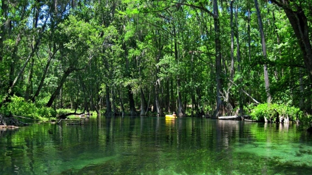 Ichetucknee Springs State Park, Lake City, Florida
