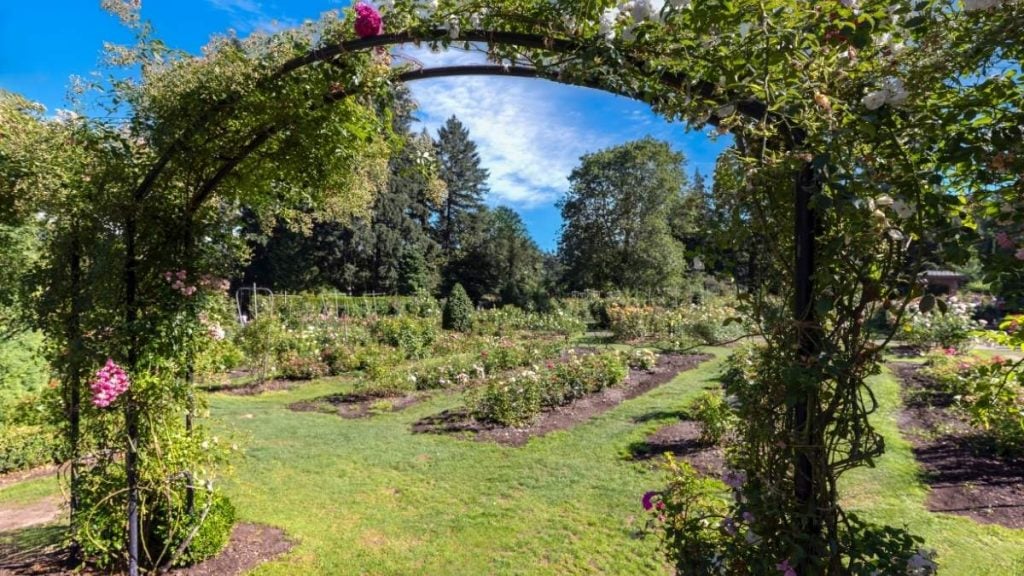 The 10 best places to see on an Oregon road trip. In photo: International Rose Test Garden, Portland, Oregon