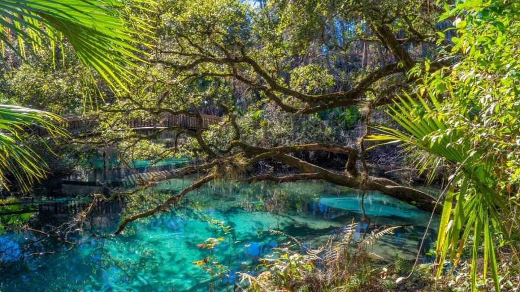 Ocala National Forest Recreation Areas, Ocala, Florida