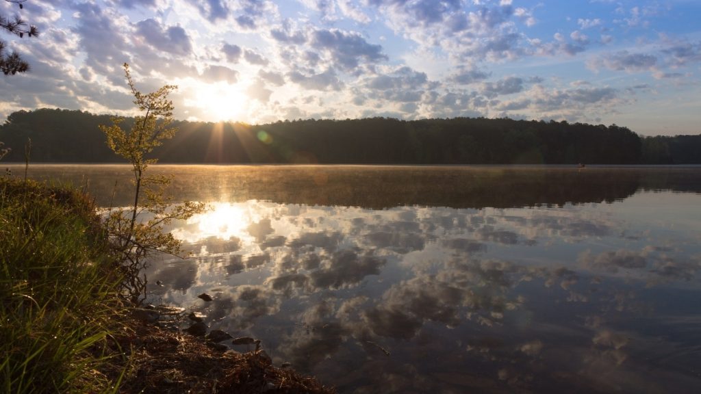 Natchez Trace State Park, Wildersville, Tennessee