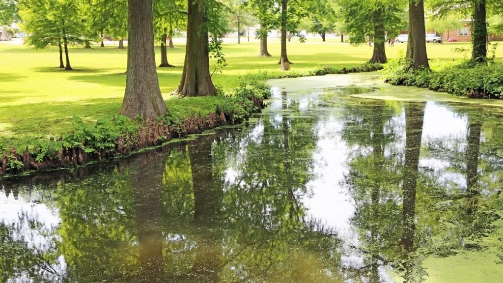 Reelfoot Lake State Park, Tiptonville, Tennessee