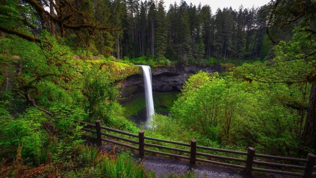 Silver Falls State Park, Silverton, Oregon