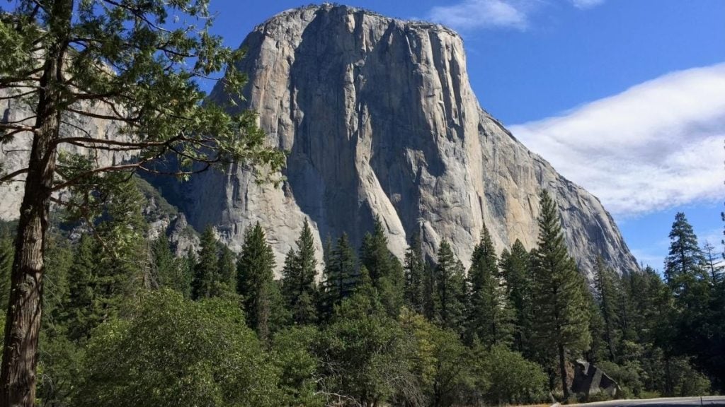 El Capitan Meadow, Yosemite National Park, California