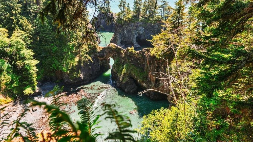 Oregon coast road trip. In photo: Samuel H. Boardman State Scenic Corridor, Brookings, Oregon