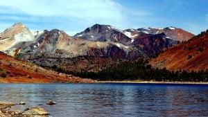 California's highest drive-to campground: Your guide to Saddlebag Lake
