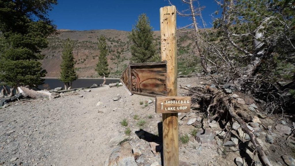 Saddlebag Lake Loop, Lee Vining, California