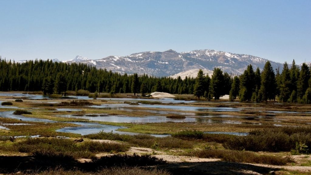 Tuolumne Meadows, Yosemite Valley, California
