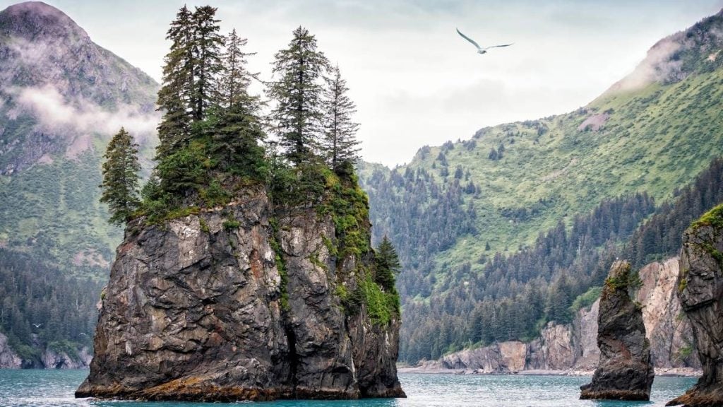 The 10 best places to see on an Anchorage, Alaska road trip. In photo: Kenai Fjords National Park, Seward, Alaska