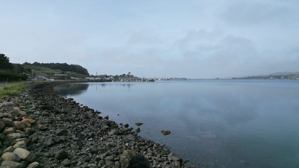 Bodega Bay, California